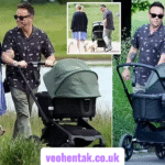 ant mcpartlin baby