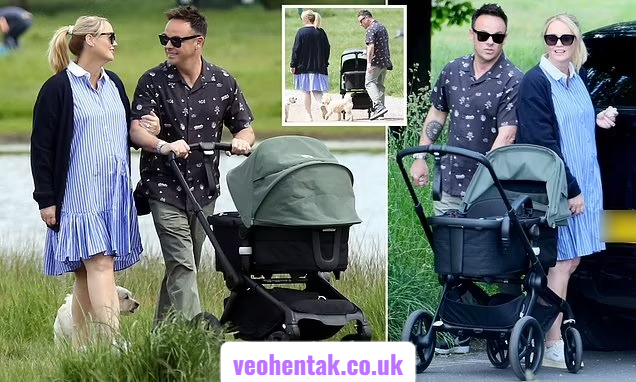 ant mcpartlin baby