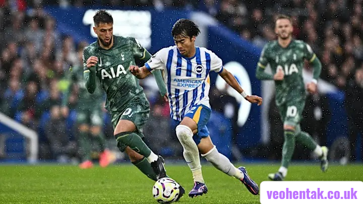 brighton & hove albion f.c. vs tottenham timeline